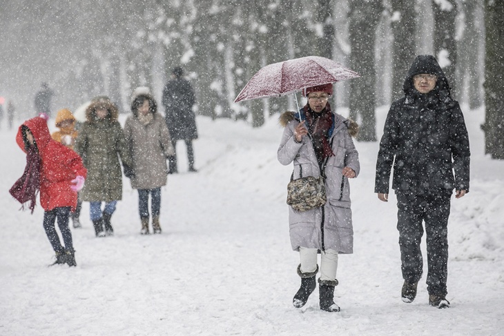 Синоптики раскрыли, когда Москва станет снежной