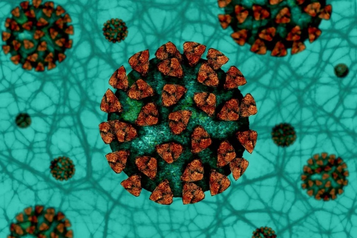 До 2022 года: эксперт сообщила, сколько коронавирус еще будет активен
