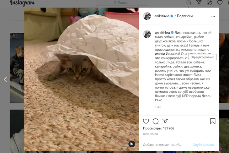 «Теперь будет весело»: 46-летняя Анна Михалкова заявила о пополнении