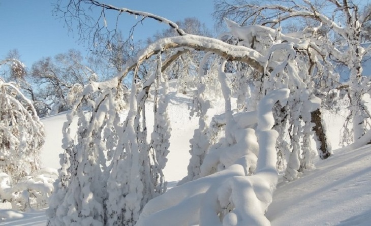 «Снежная болезнь»: врач рассказала о неожиданной угрозе здоровью зимой