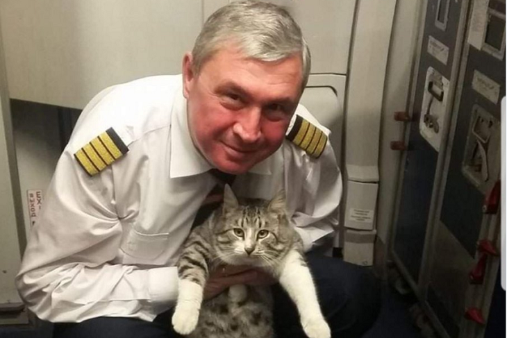 «Дружбан уже у трапа»: пилот рассказал о об «аэропортовом» коте