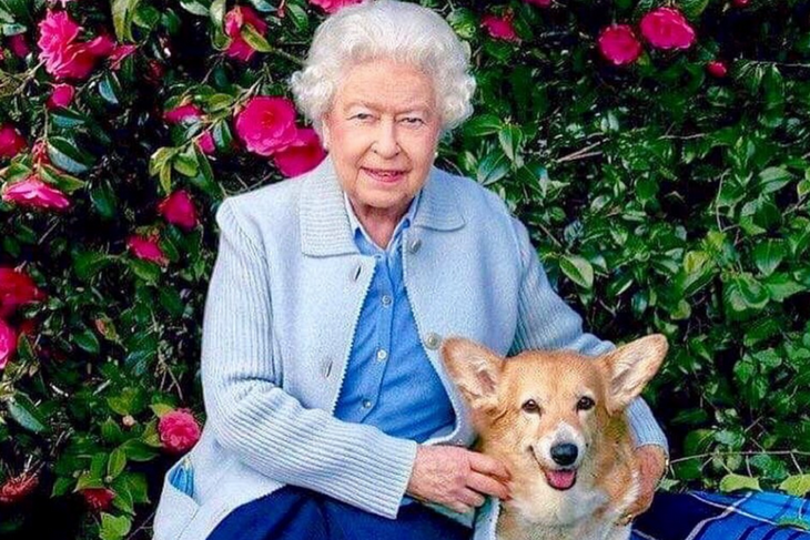 Королева оплакивает потерю: у Елизаветы II осталась только одна собака