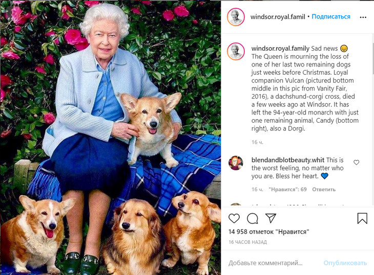 Королева оплакивает потерю: у Елизаветы II осталась только одна собака