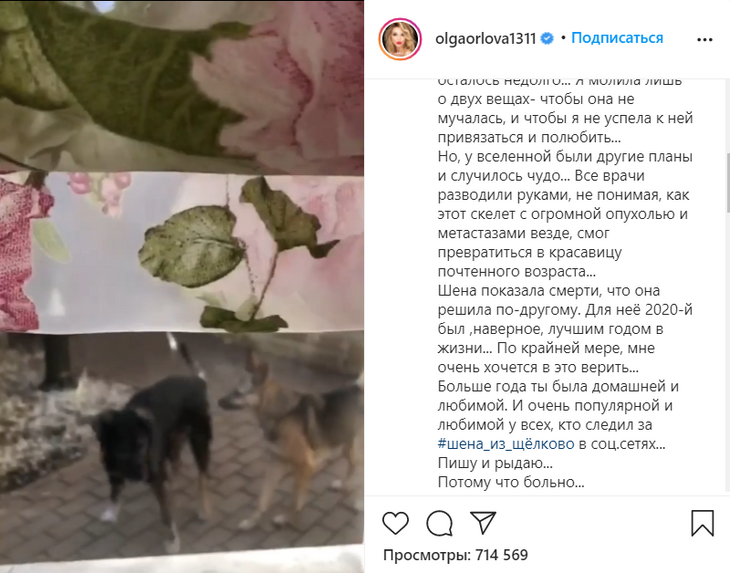 «Больно»: Ольга Орлова рассказала о своей потере