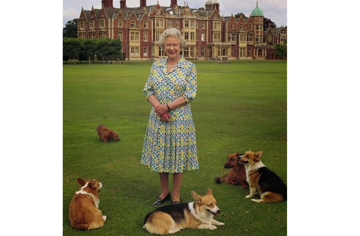 Королева оплакивает потерю: у Елизаветы II осталась только одна собака