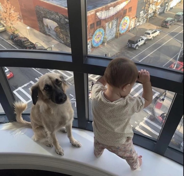 На фоне слухов о разладе Зуева показала подросшую дочь от Козловского