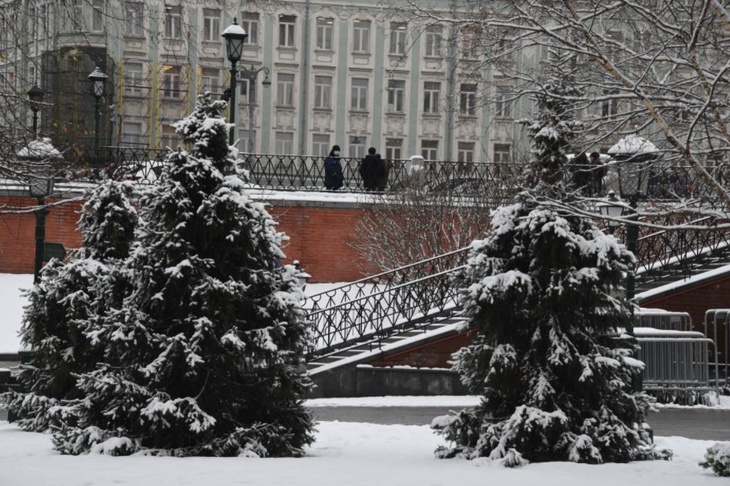 «До 11 сантиметров снега»: синоптики рассказали о погоде в Москве