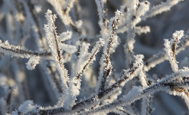 До минус 25 градусов: Вильфанд пообещал москвичам экстремально холодную погоду