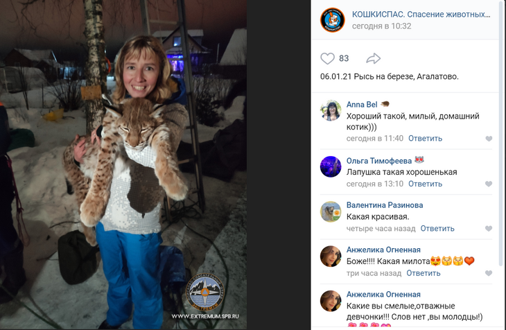 Котик на дереве: пожарные спасли рысь в Ленобласти