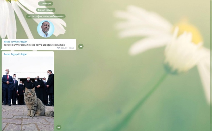 «Выражаю свою любовь»: президент Турции Эрдоган завел Telegram-канал «Выражаю свою любовь»: президент Турции Эрдоган завел Telegram-канал