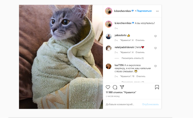 Пушистый купальщик: Борис Корчевников «окунул» своего кота