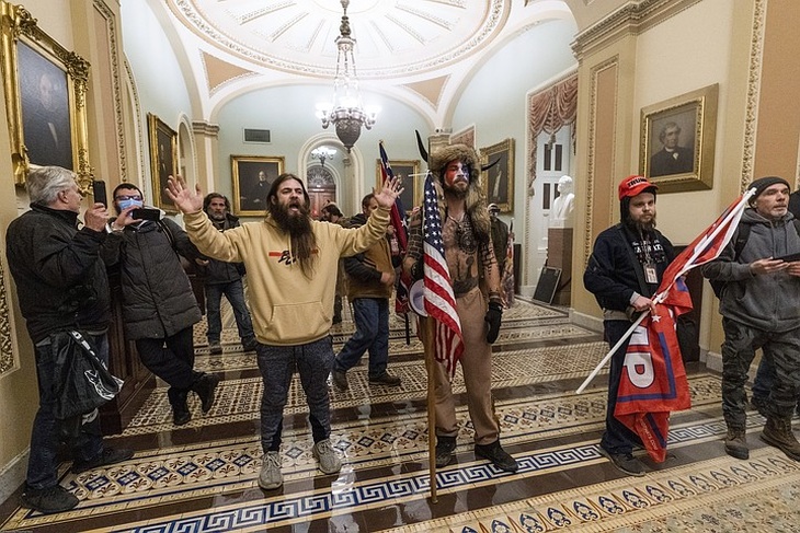 Протестующие в здании Конгресса США.