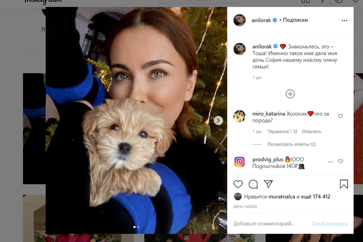 «Знакомьтесь, это — Тоша»: счастливая Лорак представила публике нового члена семьи «Знакомьтесь, это — Тоша»: счастливая Лорак представила публике нового члена семьи