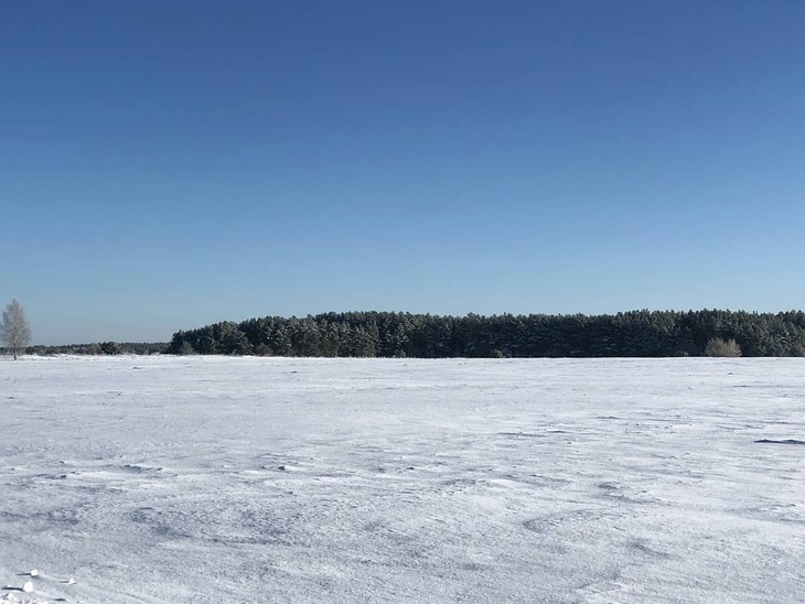  Много снега и кошка: Май Абрикосов показал скромную жизнь в деревне