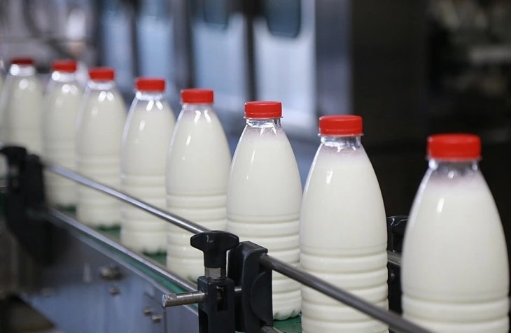 Штрафы за мат, молоко и повышенные пособия: что вступает в силу в феврале