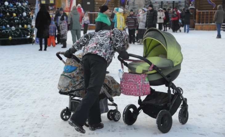 Жириновский предложил ряд мер для увеличения рождаемости