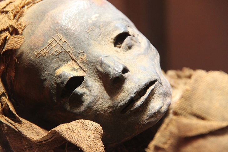 В Египте откопали древнюю мумию с золотым языком