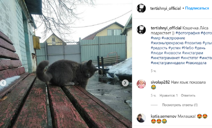  Много снега и кошка: Май Абрикосов показал скромную жизнь в деревне