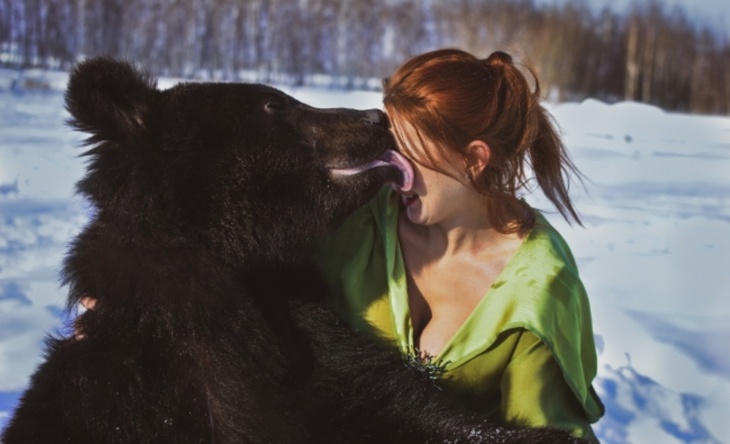«Медведь в целом»: ВЦИОМ провел опрос о символе России