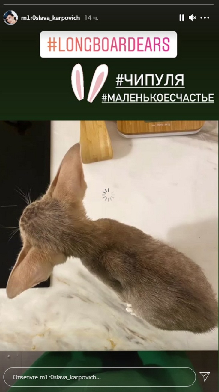 «Маленькое чудо»: на фоне слухов о помолвке Карпович сообщила о произошедшем «пополнении»