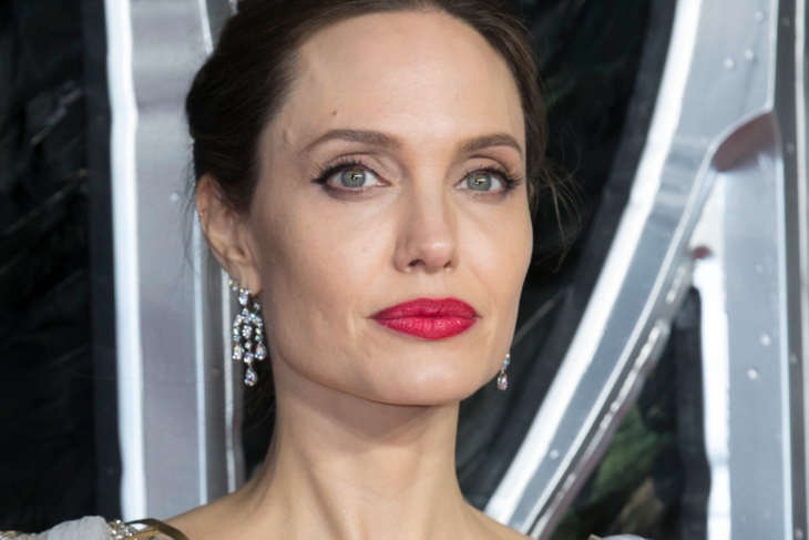 Анджелина Джоли занялась благотворительным разведением пчел