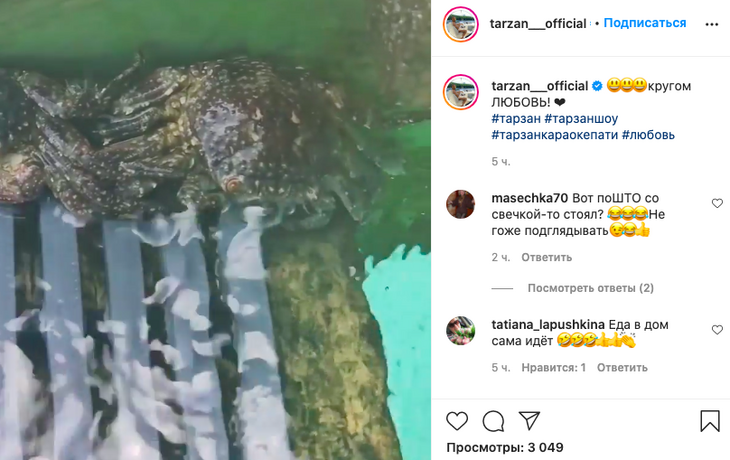 «Извините, что помешал!»: Тарзан показал «животную любовь» на Мальдивах «Извините, что помешал!»: Тарзан показал «животную любовь» на Мальдивах