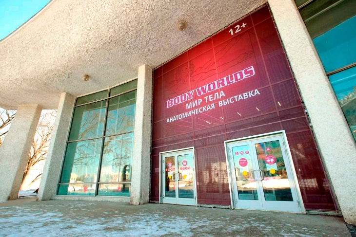 В Москве состоялся специальный показ международной выставки BODY WORLDS