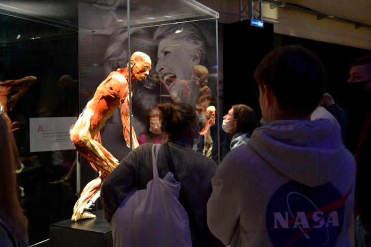 Посетители высоко оценили выставку «Body Worlds»