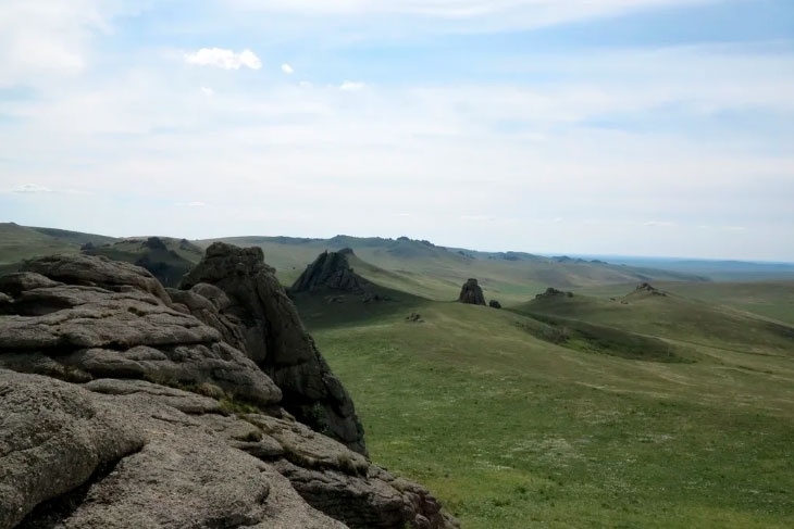 Лес рук за лес рек: Procter&Gamble и сеть магазинов «Лента» объединяют свои усилия для защиты лесов и рек России