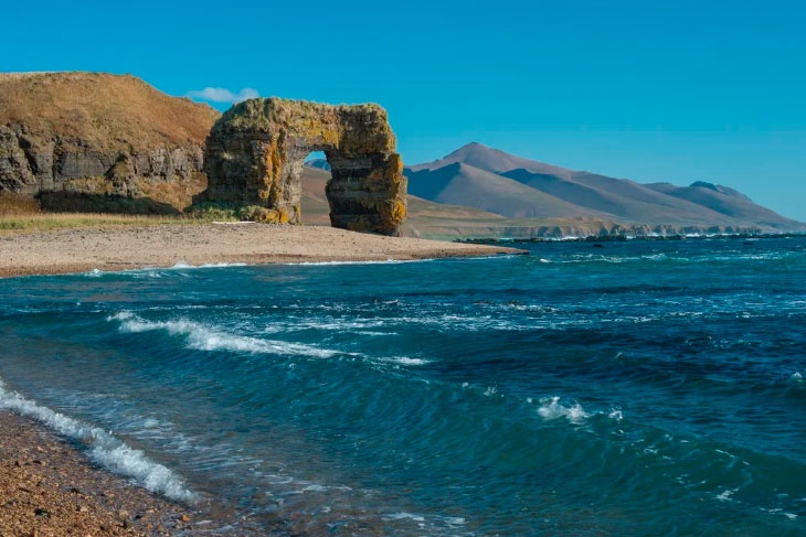 Лес рук за лес рек: Procter&Gamble и сеть магазинов «Лента» объединяют свои усилия для защиты лесов и рек России