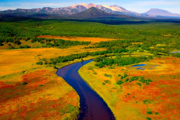 Лес рук за лес рек: Procter&Gamble и сеть магазинов «Лента» объединяют свои усилия для защиты лесов и рек России