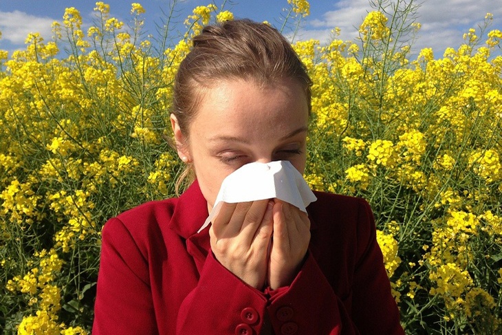 «Уехать на север, в тундру»: Болибок рассказал, как вылечить аллергию