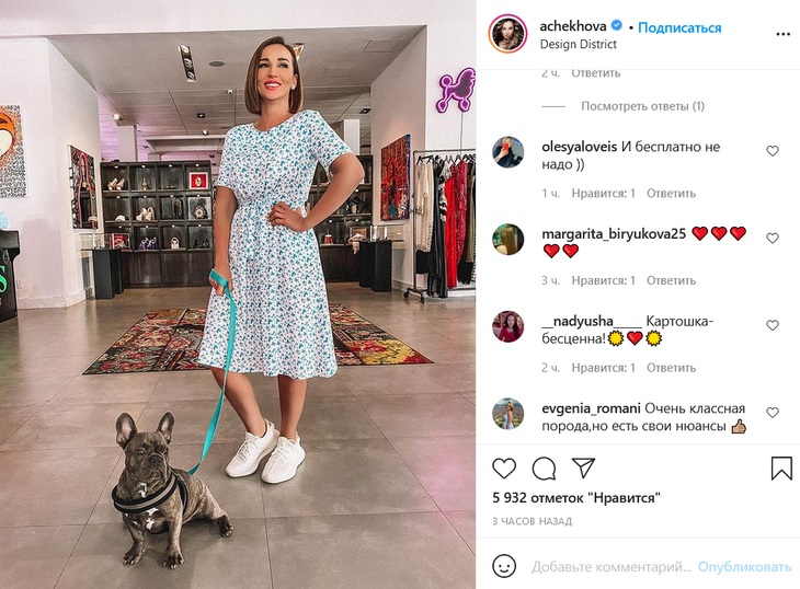 «Классная порода!»: Чехова рассказала, каких собак предпочитают заводить американцы «Классная порода!»: Чехова рассказала, каких собак предпочитают заводить американцы