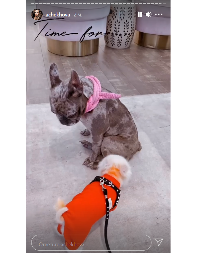 «Это вам кажется»: Чехова рассказала фанатам о том, сколько она ест