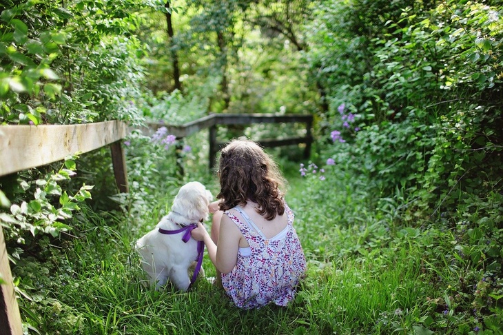 «Легитимно сбежать из дома»: психолог о том, как правильно реагировать на просьбу ребенка о щенке