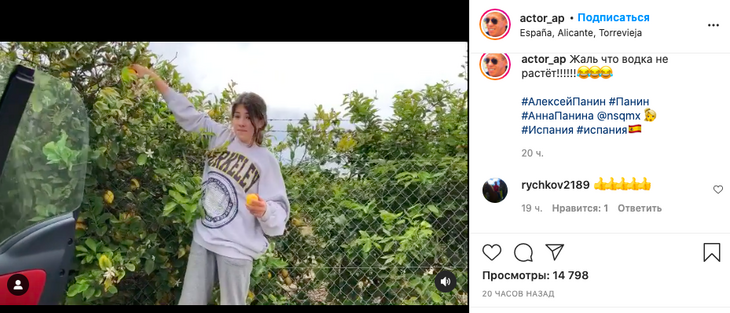 «Жаль, водка не растет»: Панин показал, как его дочь ворует лимоны из чужого сада