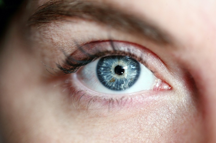 «Хоть вы ее съешьте ведро»: Мясников развеял миф о влиянии черники на зрение
