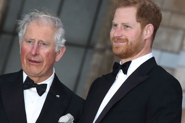 «Никогда не простит»: какие отношения ждут принца Гарри с будущим королем Великобритании