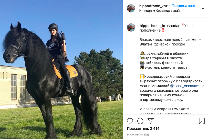 «Спасибо за красавца!»: Алана Мамаева после развода избавилась от своего жеребца