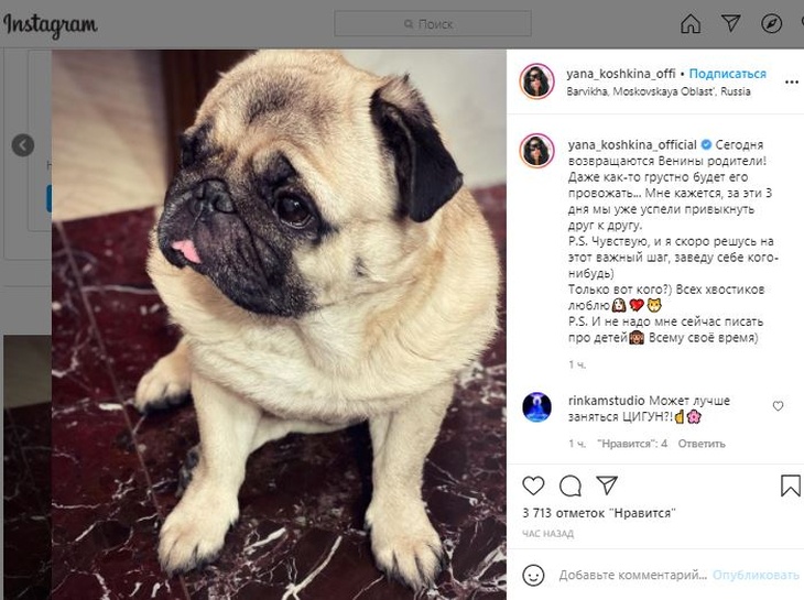 «Скоро решусь на этот важный шаг»: Яна Кошкина задумалась о пополнении