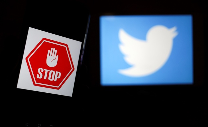«Идет на диалог»: аналитик объяснил, почему Твиттер еще не заблокировали в России