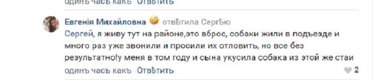 Более ста укусов: бродячие собаки растерзали девочку в российском городе