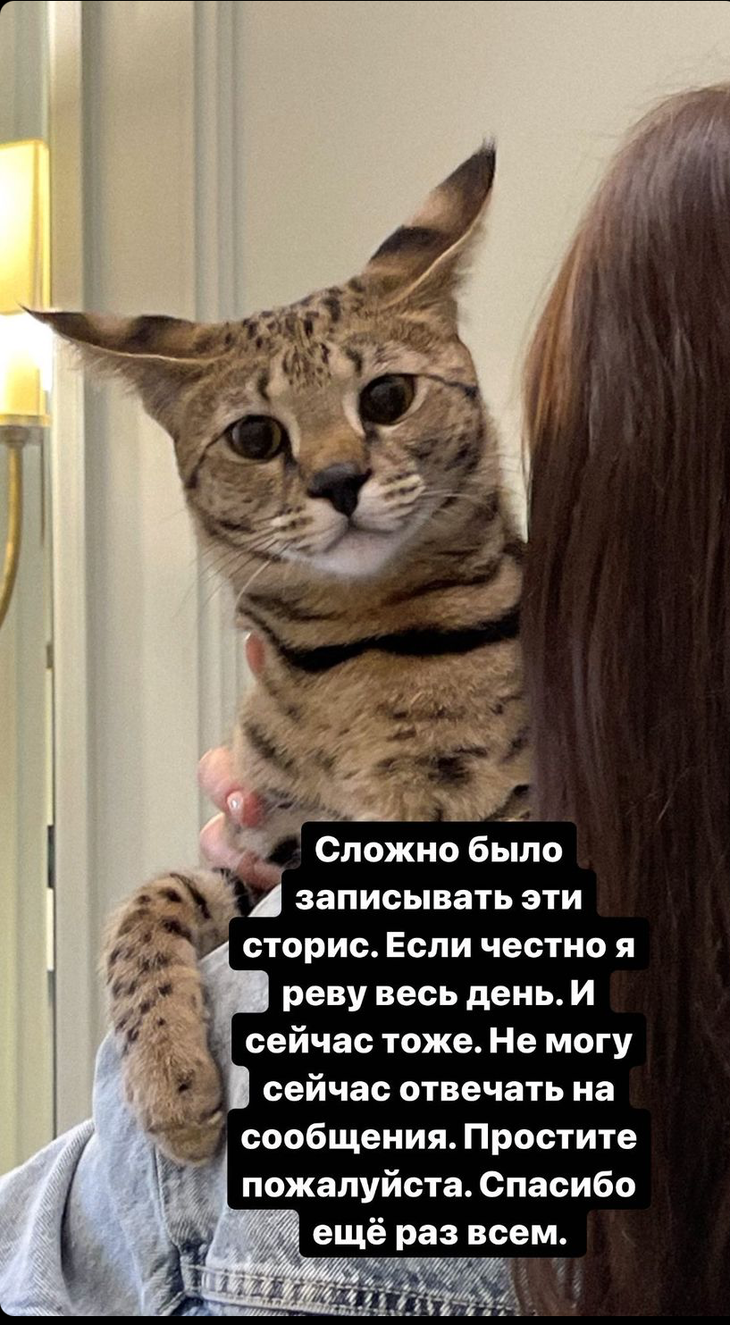 Стая собак напала на друга Елены Темниковой