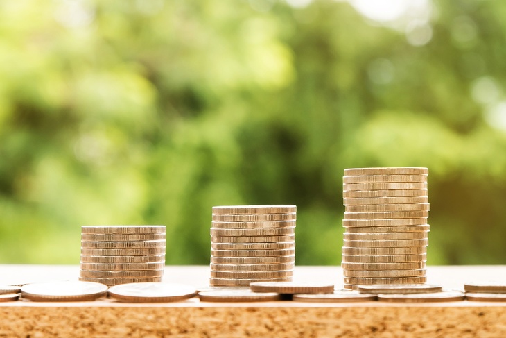 Каждый третий россиянин в пандемию имел работу с высокой зарплатой