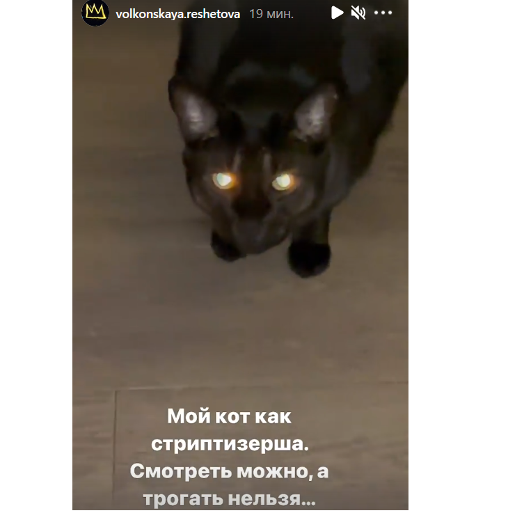 «Смотреть можно, трогать нельзя»: Решетова в красном платье похвасталась фигурой