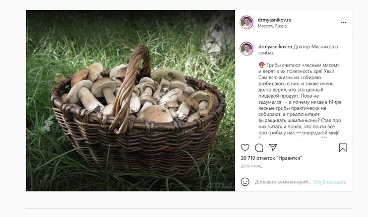 «А мы потом это едим»: Мясников раскрыл главную опасность грибов