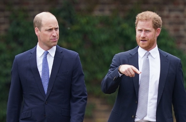 Доверия нет: разлад между королевской семьей и принцем Гарри усиливается