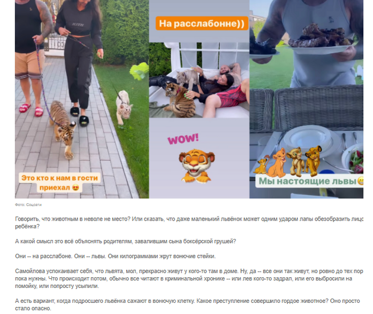 Миро распекла Джигана и Самойлову за жестокую «вечеринку с тиграми»