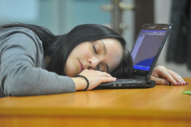 Треть россиян хотела бы спать на работе, 14% нанимателей поддерживают эту идею