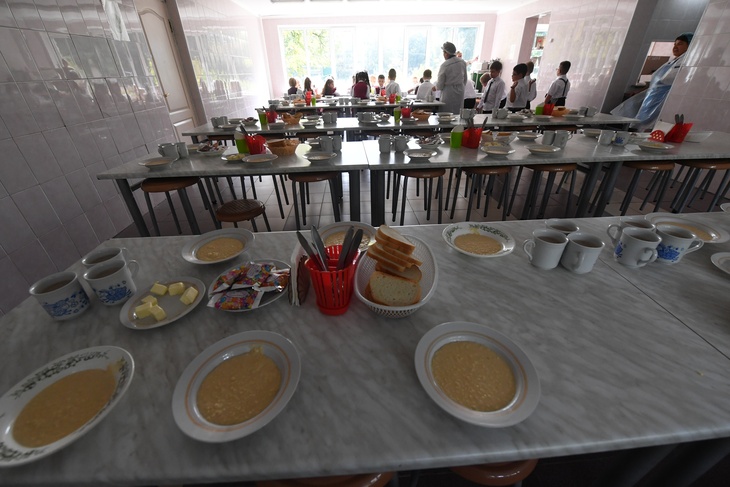 Эксперт раскритиковал инициативу ЛДПР по школьным завтракам
